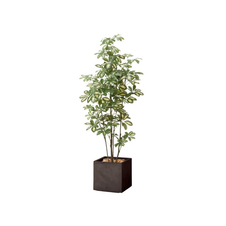観葉植物　専用 フェイクグリーン×プランターセット「シェフレラ×Cube w/g」[高