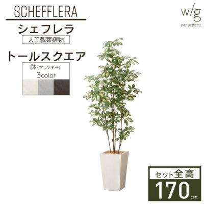 フェイクグリーン×プランターセット「シェフレラ×Tall Square w/g」[高さ170cm・人工樹木・人工観葉植物]