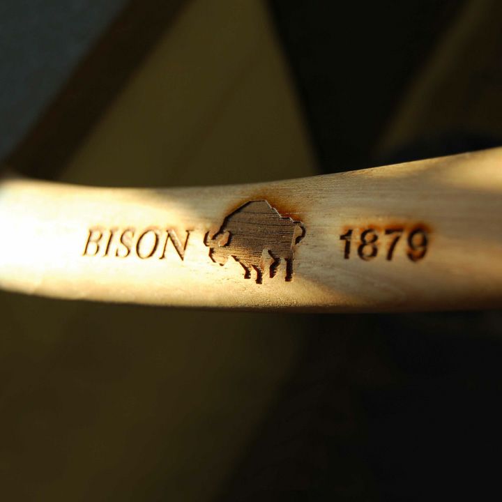 小型の薪割り斧 「BISON（バイソン） AXE 1879シリーズ