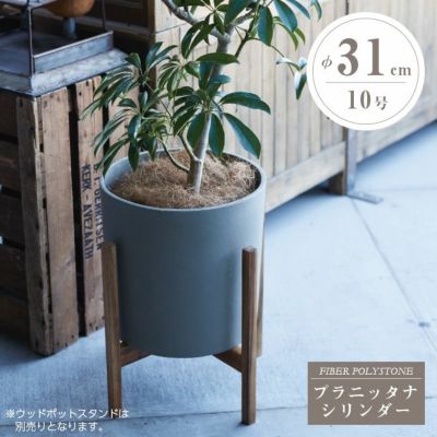 プランター・鉢 | JUICY GARDEN プランター・鉢 | JUICY GARDEN