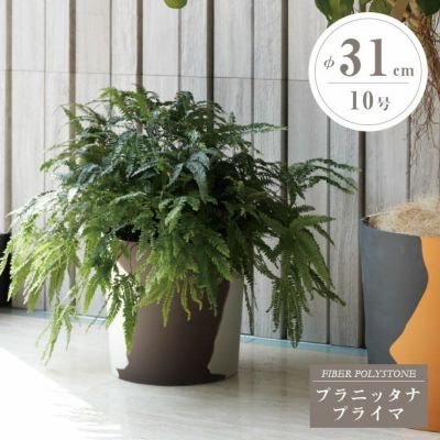 プランター・鉢 | JUICY GARDEN プランター・鉢 | JUICY GARDEN