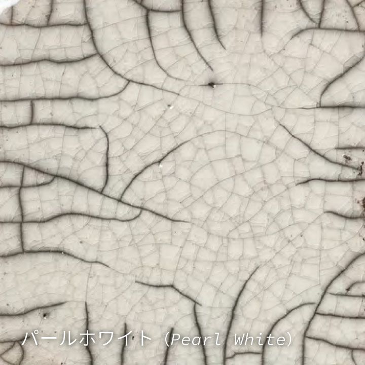 ドマーニ（DOMANI） MINSK DISH 25 パールホワイト