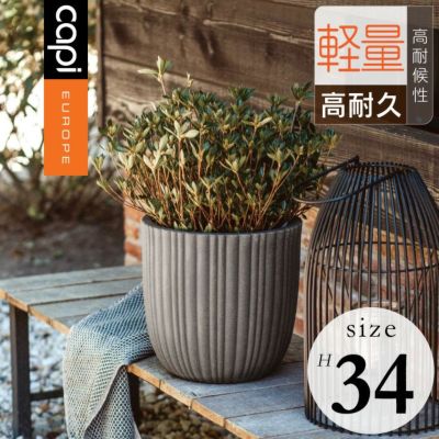 ⭐*︎様 辰巳 又助　植木鉢 黒白セット 辰巳又助 | 片目有りドクロ鉢、鬼ドクロ鉢 @raflum.tokyo