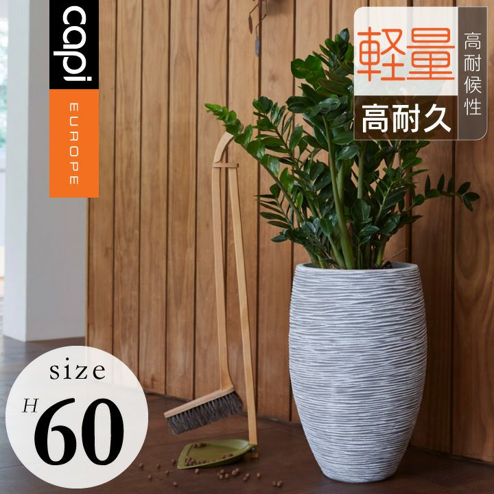 Capi（カピ） | JUICY GARDEN