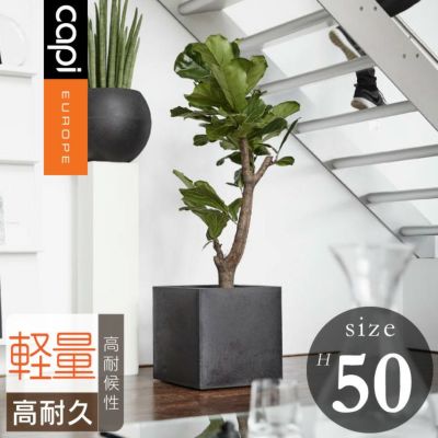 「カピ（Capi） アーバンスムース スクエア（UrbanSmooth Square） Lサイズ（□50×H50cm）」16号鉢相当／特大・大型／ブラック・ダークグレー／底穴なし／植木鉢 おしゃれ 軽量