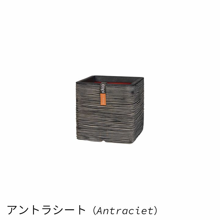 カピ（Capi） ネイチャーリブ スクエア（NatureRib Square） S