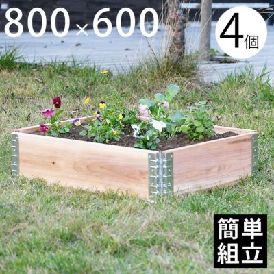 木製プランター 「a+ design ガーデンボックス 800×600 4個セット ナチュラル」