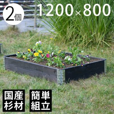 木製プランター 「a+ design ガーデンボックス1200×800 2個