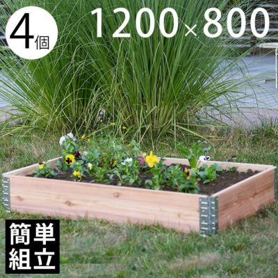 木製プランター 「a+ design ガーデンボックス1200×800 4個セット ナチュラル」