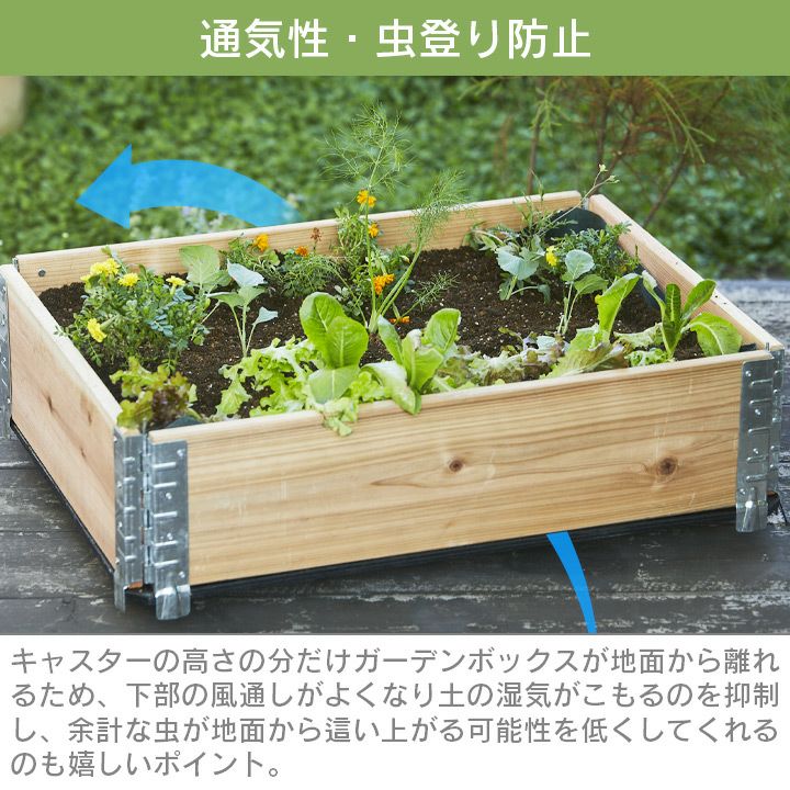 a+ design ガーデンボックス800×600専用 キャスター付きベース