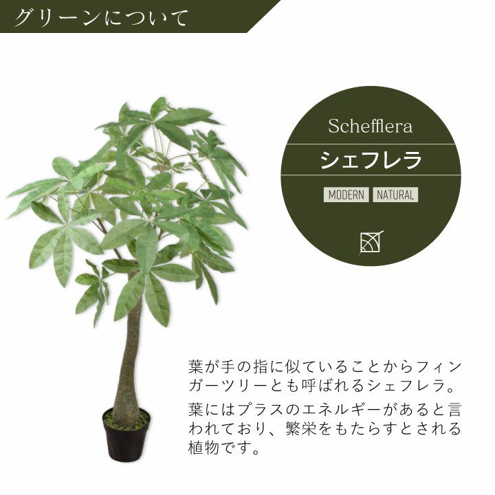 大型 フェイクグリーン「シェフレラ 162cm シルカ(Silk-ka 大型 フェイクグリーン「シェフレラ 162cm シルカ(Silk-ka