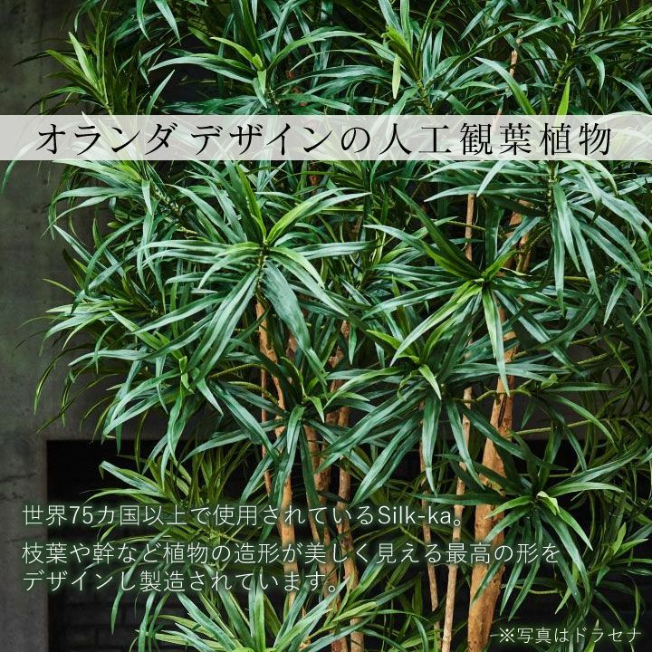 大型 フェイクグリーン「シェフレラ 162cm シルカ（Silk-ka