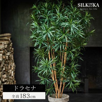 大型 フェイクグリーン「ドラセナ 183cm シルカ（Silk-ka）」おしゃれ リアル 人工観葉植物 樹木 インテリアグリーン 幸福の木