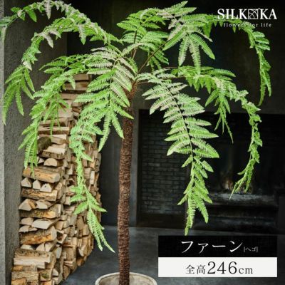 大型 フェイクグリーン「ファーン（ヘゴ） 246cm シルカ（Silk-ka）」おしゃれ リアル 人工観葉植物 草花 インテリアグリーン ハイワンツリー