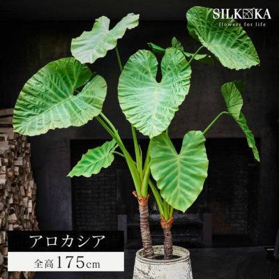 大型 フェイクグリーン「アロカシア 175cm シルカ（Silk-ka）」おしゃれ リアル 人工観葉植物 草花 インテリアグリーン クワズイモ