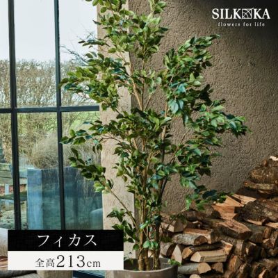 大型 フェイクグリーン「ファイカス（フィカス） 213cm シルカ（Silk-ka）」おしゃれ リアル 人工観葉植物 樹木 インテリアグリーン ゴムの木
