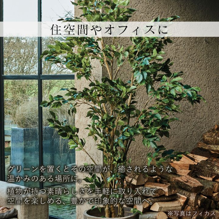 000000011018-09-l.jpg?t=