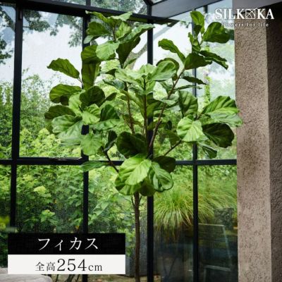 大型 フェイクグリーン「フィカス（ファイカス） 254cm シルカ（Silk-ka）」おしゃれ リアル 人工観葉植物 樹木 インテリアグリーン ゴムの木