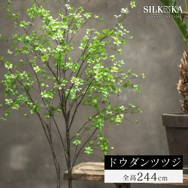 大型 フェイクグリーン「ドウダンツツジ 244cm シルカ（Silk-ka