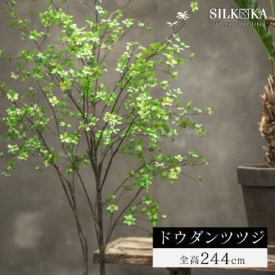 大型 フェイクグリーン「ドウダンツツジ 244cm シルカ（Silk-ka）」おしゃれ リアル 人工観葉植物 樹木 インテリアグリーン 灯台躑躅