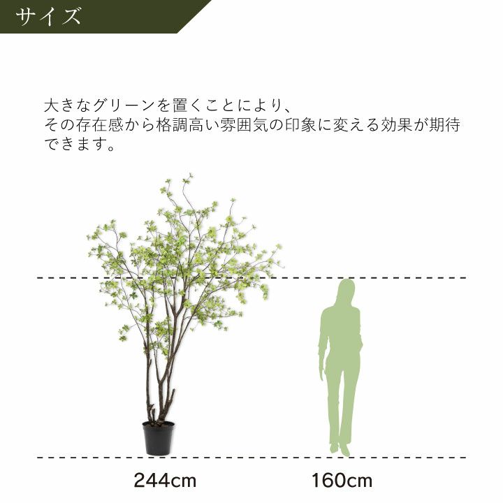この1本で 空間が明るくなる ドウダンツツジ✨ - その他