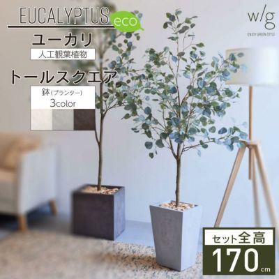 「丸葉ユーカリS×トールスクエア w/g-eco」