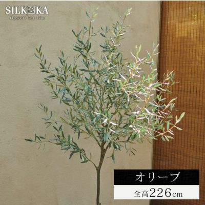 「オリーブ 226cm シルカ（Silk-ka）」