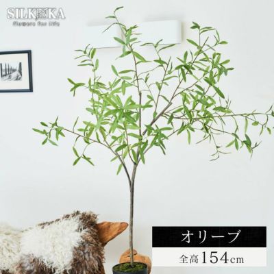 「オリーブ 154cm シルカ（Silk-ka）」