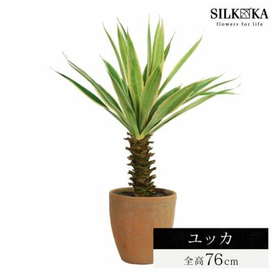 「ユッカ 76cm シルカ（Silk-ka）」