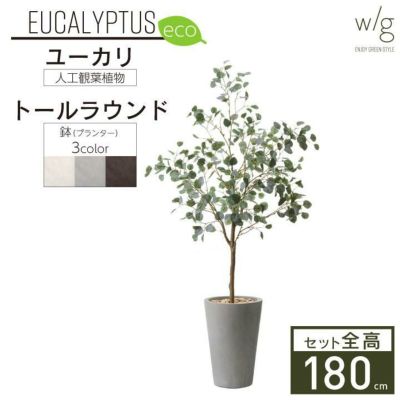 「丸葉ユーカリS×トールラウンド w/g-eco」