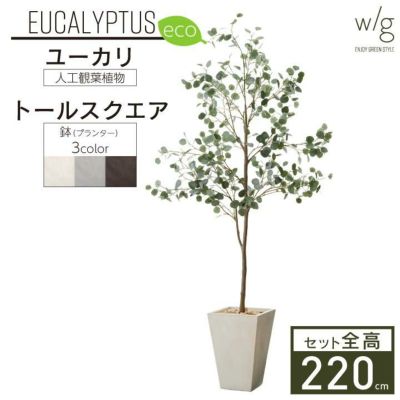 「丸葉ユーカリL×トールスクエア w/g-eco」