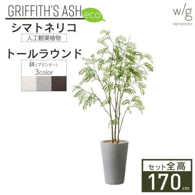 「シマトネリコ×トールラウンド w/g-eco」