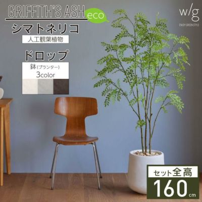 「シマトネリコ×ドロップ w/g-eco」