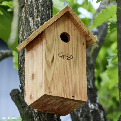 ESSCHERT DESIGN ダグラスファー バードハウス 巣穴 28mm 」 | 《公式
