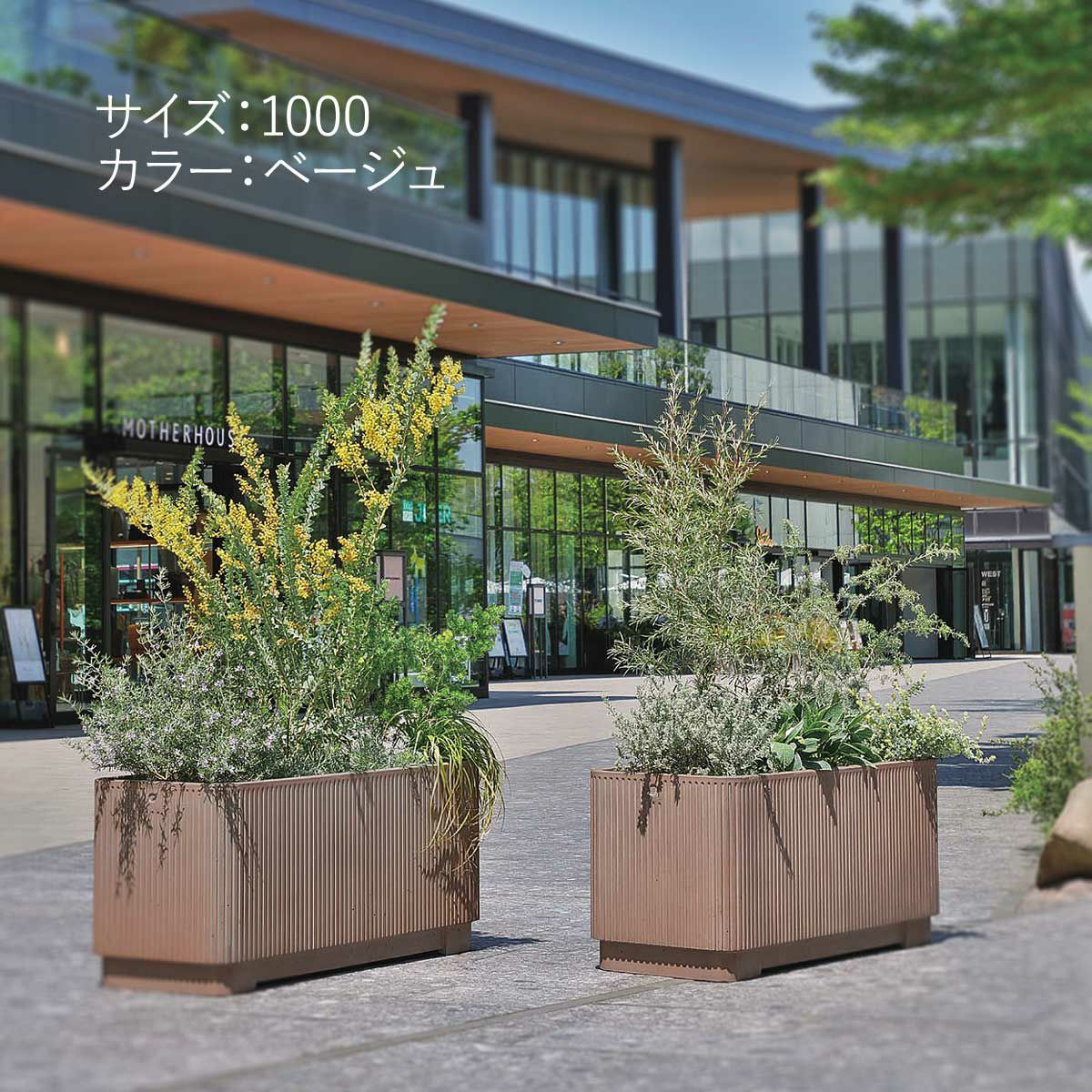 100cm、ベージュの画像。