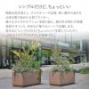 無駄を削ぎ落とし、テクスチャーや品質、使い勝手の良さを出来る限り高めた大型プランター。様々なサイズやオプションを取り揃え、屋内外を問わず商業施設やオフィス、自宅など様々なシーンで活躍します。