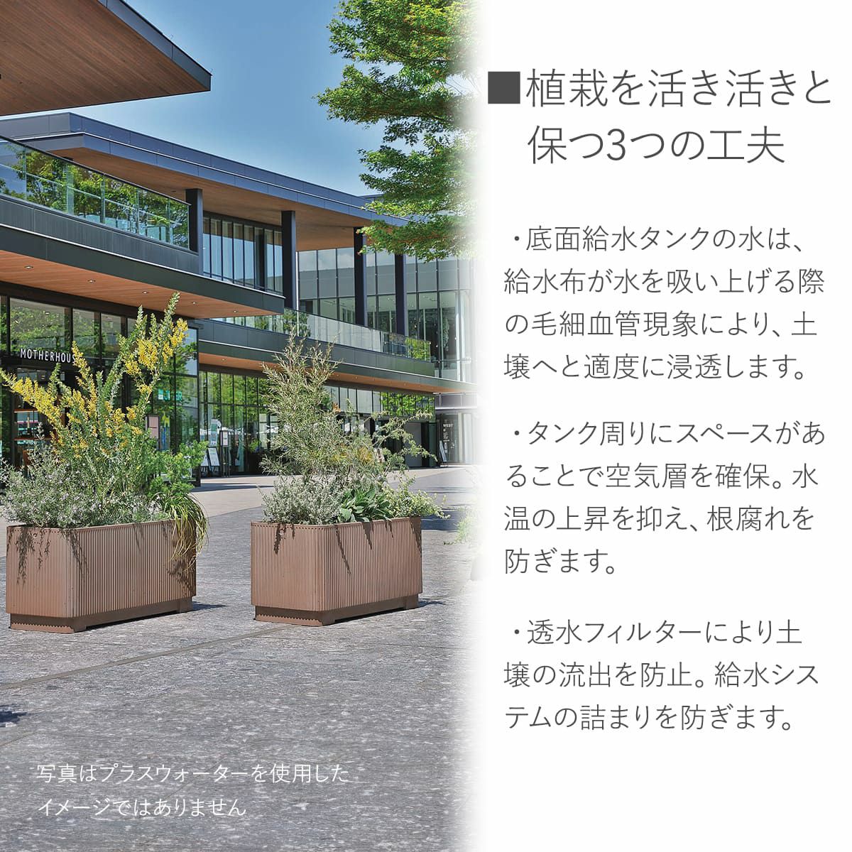 植栽を活き活きと保つ3つの工夫。底面給水タンクの水は、給水布が水を吸い上げる際の毛細血管現象により土壌へと適度に浸透します。タンク周りにスペースがあることで水温の上昇を抑え、根腐れを防ぎます。透水フィルターにより給水システムの詰まりを防ぎます。