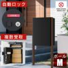 日本製の宅配ボックス「ナスタボックス プラスポスト Mサイズ」。ポールを支柱に埋め込んで設置するタイプ。ダンボール80サイズまで受取可能。