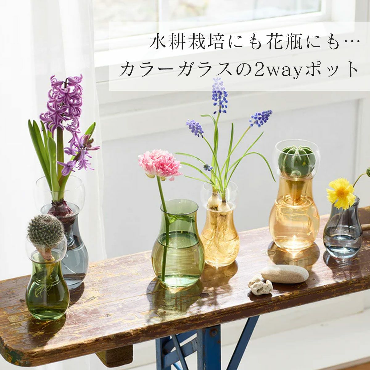 水耕栽培にも花瓶にも。カラーガラスの2wayポット